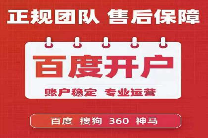 SEM服务优势案例分享